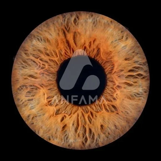 Photo Iris SOLO – Tirage artistique personnalisé