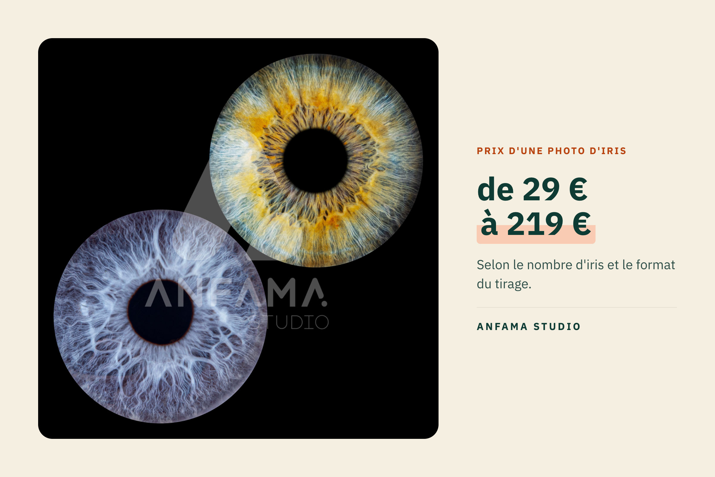 Prix d'une photo d'iris : ce qui fait le tarif et comment comparer