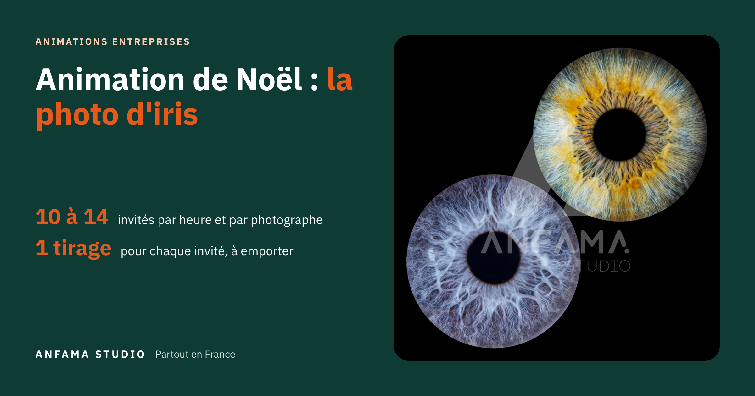 Animation de Noël en entreprise : la photo d'iris, le cadeau que chacun emporte