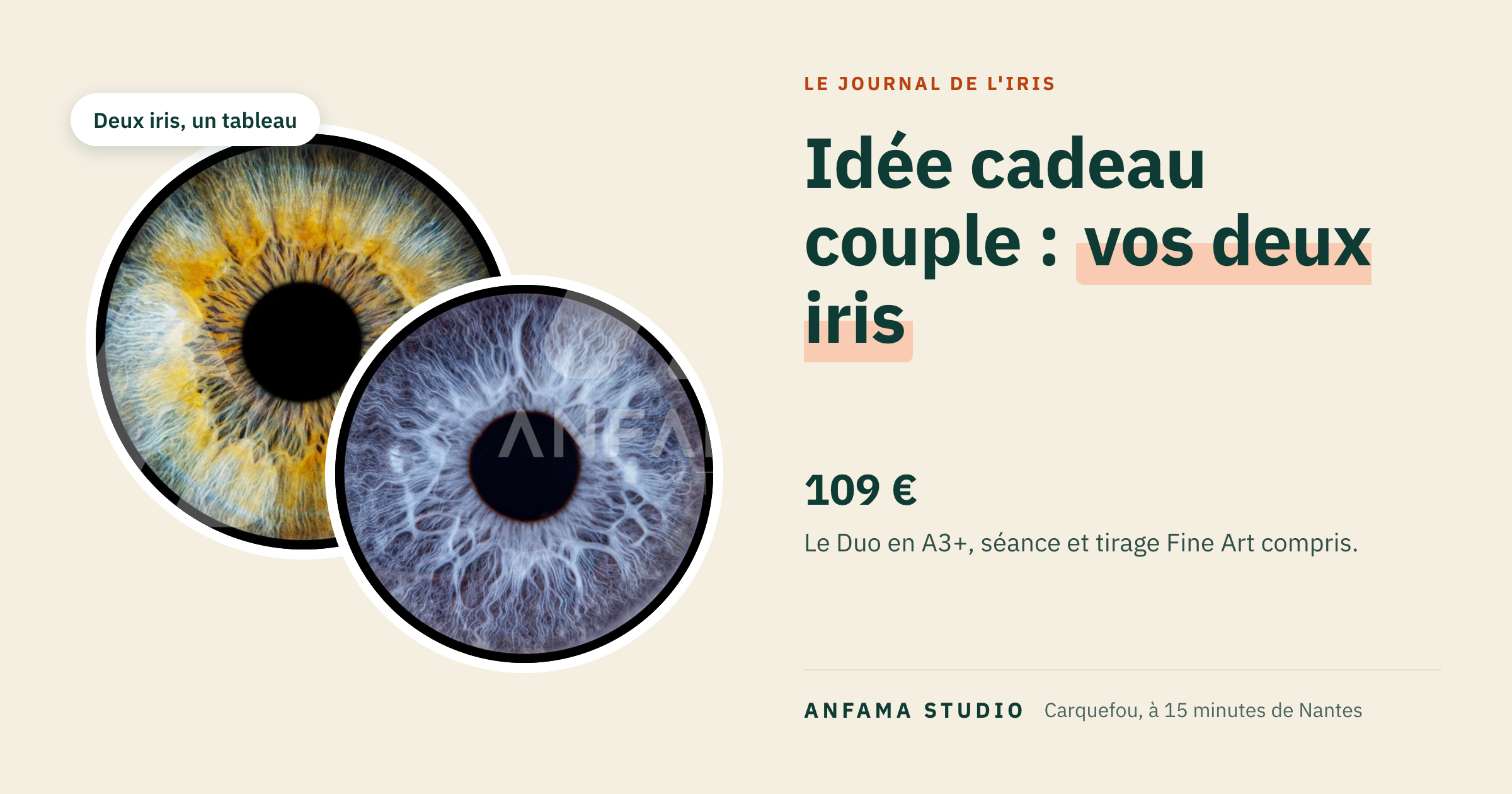 Idée cadeau couple : vos deux iris réunis sur un même tableau