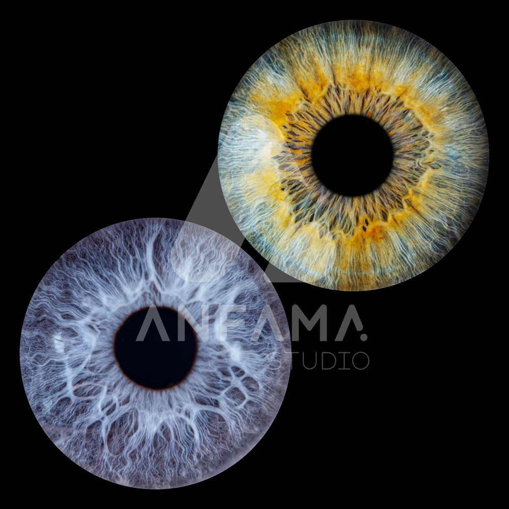 Tirage photo d'iris Duo : deux iris réunis et harmonisés sur une même œuvre