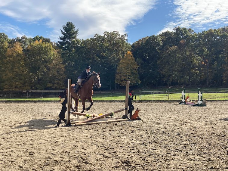 IEA show Prospect Hill Maddie jump.jpg
