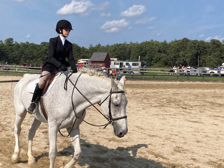 IEA show Grazing Fields Sadie.jpg