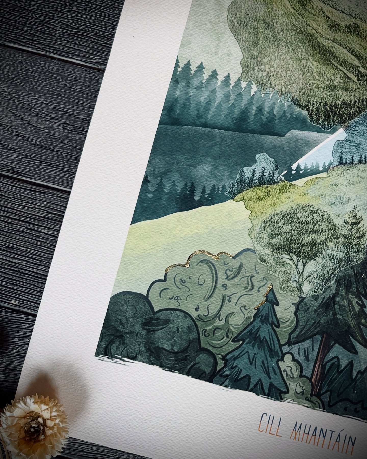 Sneak peak of my new print release. 
Wicklow ~ releasing Monday May 19th.

I&rsquo;m excited for this one, hope you&rsquo;ll love it. To be the first in the know sign up to my newsletter via my website 

#wicklow #thegardenofireland #meadowofthevikin