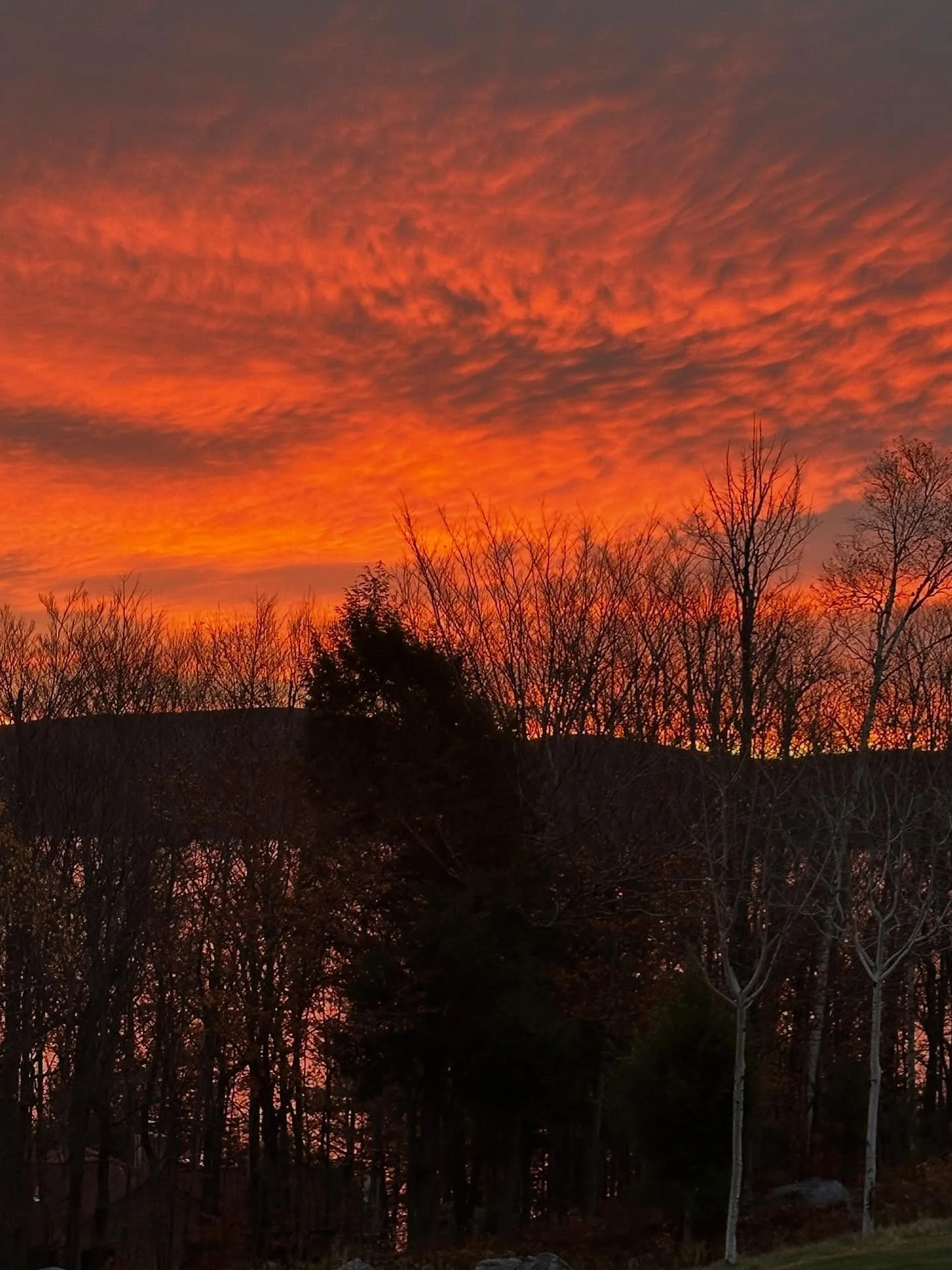 ✨ Nature&rsquo;s reminder that beauty comes in many shades ✨
At Faces by Debi, it&rsquo;s all about enhancing your natural glow &mdash; just like this sunrise. 🌅 
#FacesByDebi #GlowNaturally #EstheticsWithHeart #SkinCareJourney #BeautyInBalance