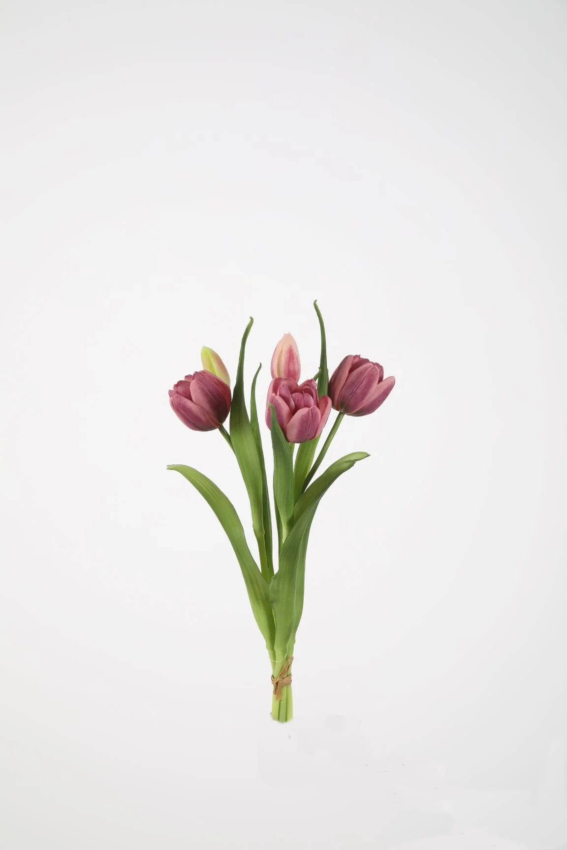 tulp donkerroze.jpg