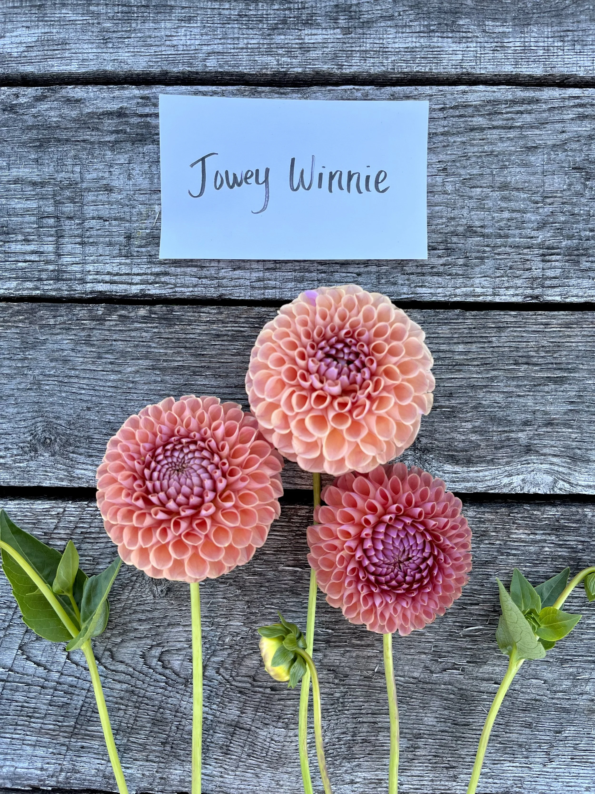 Defeated by Labyrinth