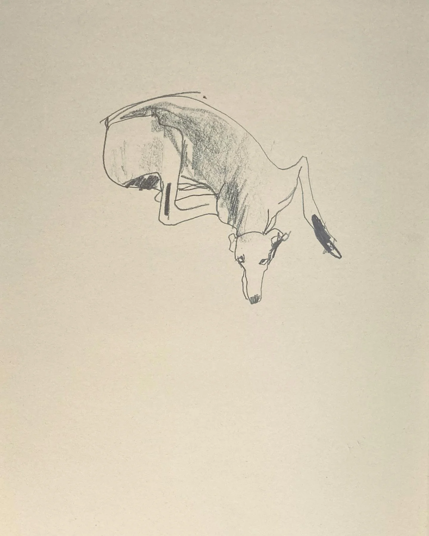 #artonpaper #kunstwerkt #apaperaday24 #dila #My dog&rsquo;spatience