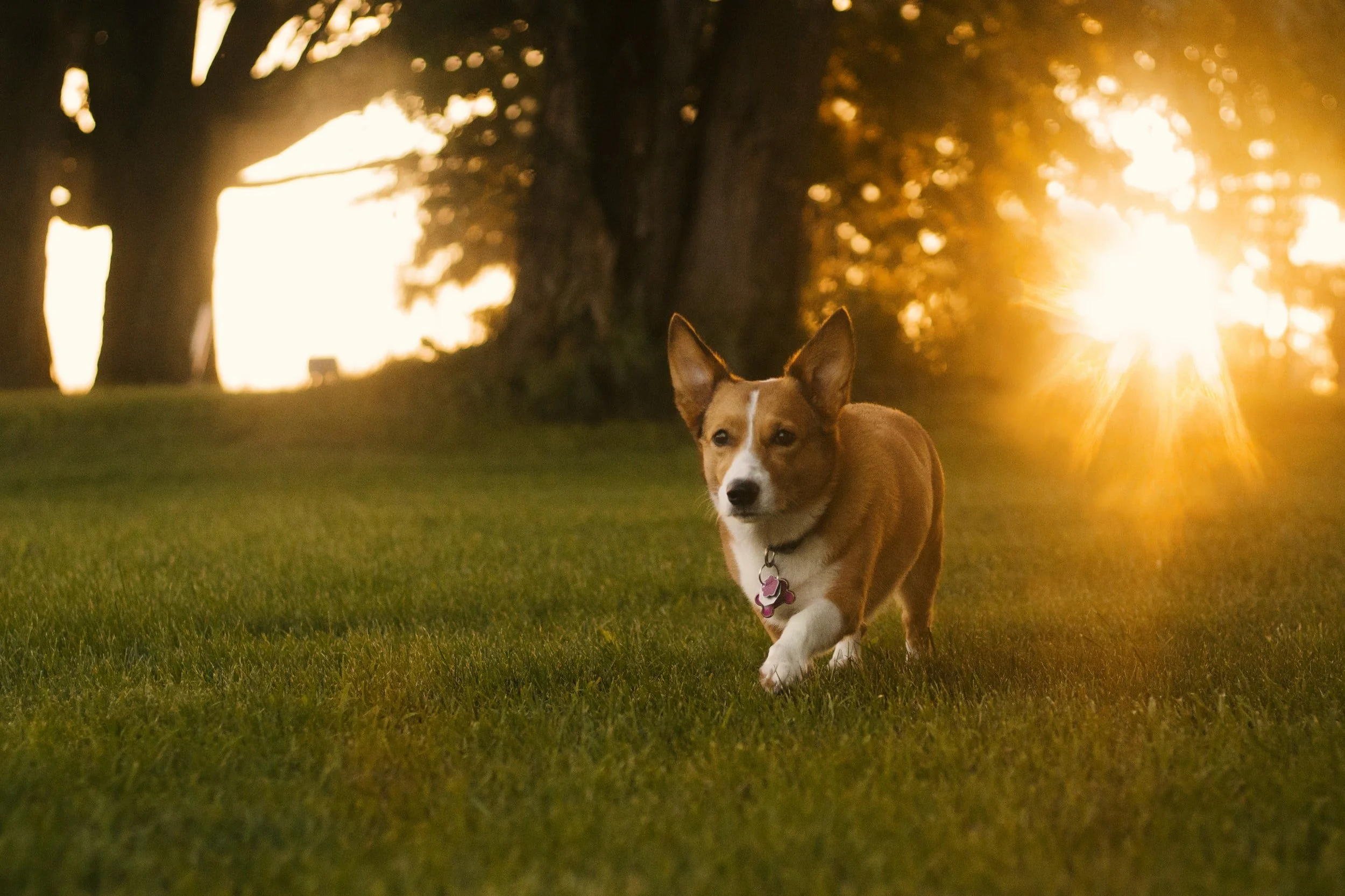 unsplash-image-lkzjENdWgd8.jpg