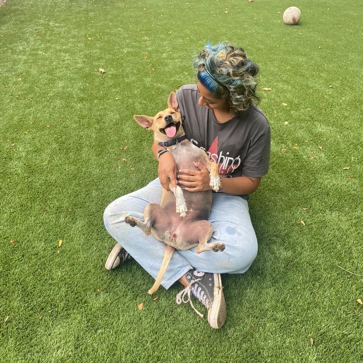 Luna and Holly enjoying their yard time the other  day . Getting tons of love . We had a fun filled Labor Day weekend and hope to see everyone again soon ❤️🐕🙂🎉