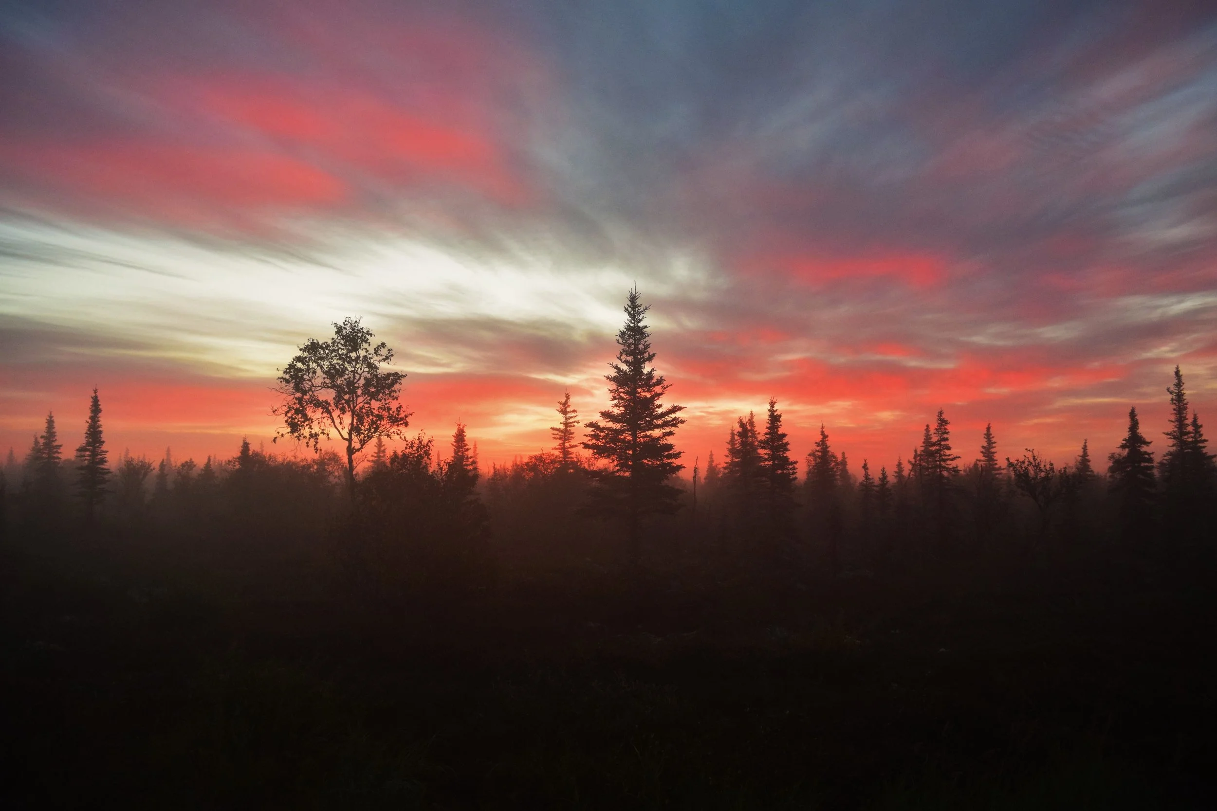 About — Swanson Realty