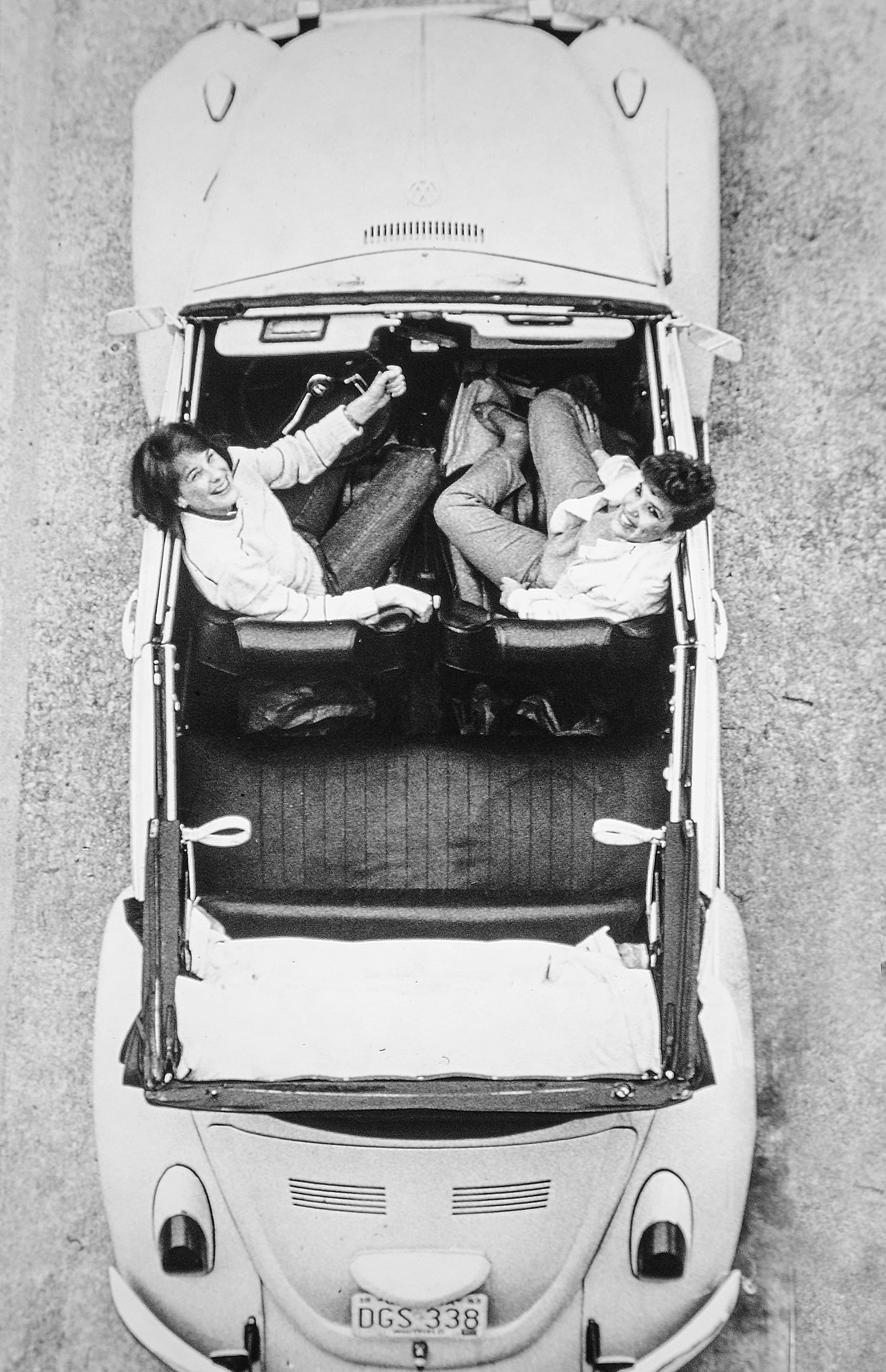 VWbug.jpg