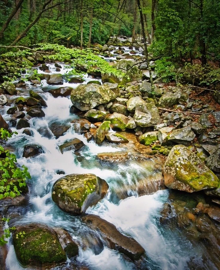 River Foam.jpg