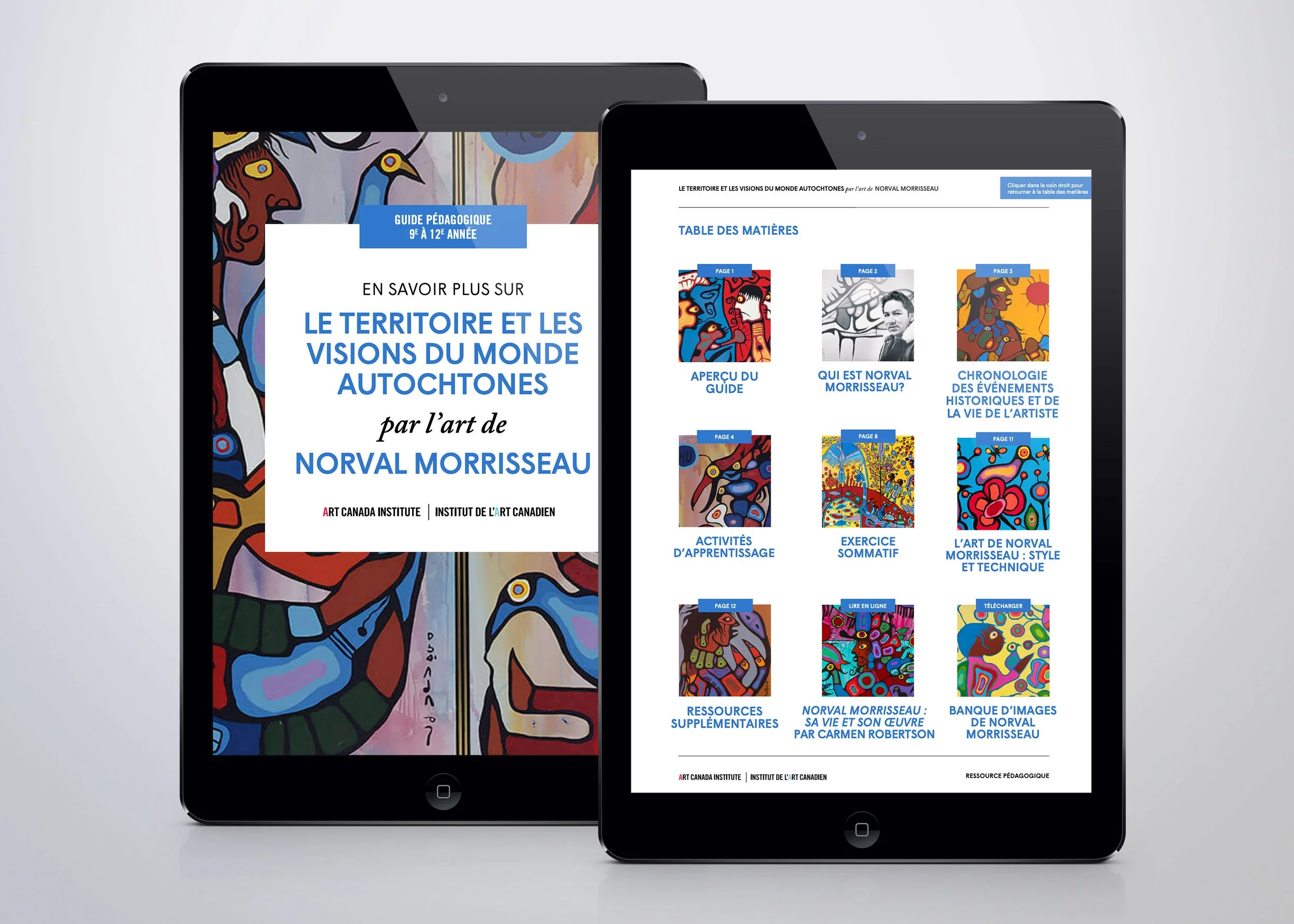 teacher-resource-guides-fr-norval-morrisseau-pdfs.jpg