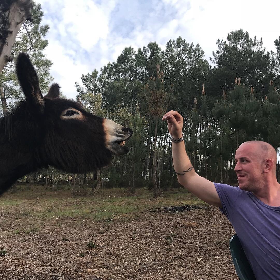 New best friends.
#alentejo #olivefarming