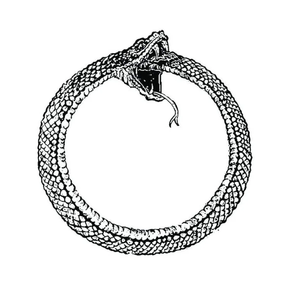 OUROBOROS (PDF Score + Parts) – chamber ensemble