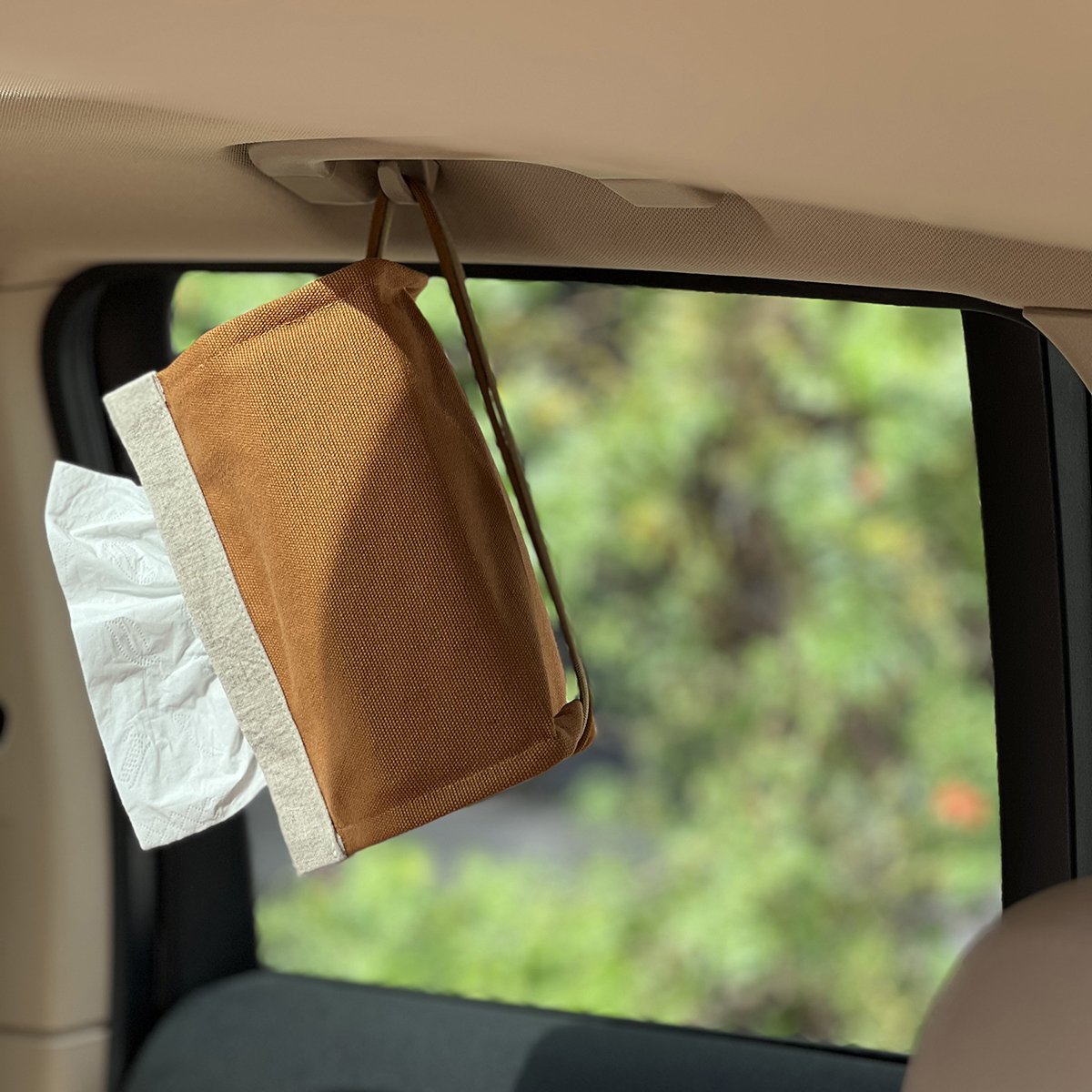 Tissue_CASE_cord_CAR03_1200.jpg