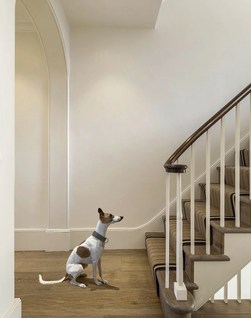Throwback to Marvellous Mavis at our Kensington project 🐕