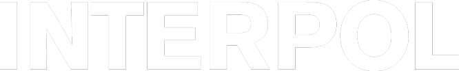INTERPOL 'The Other Side of Make Believe