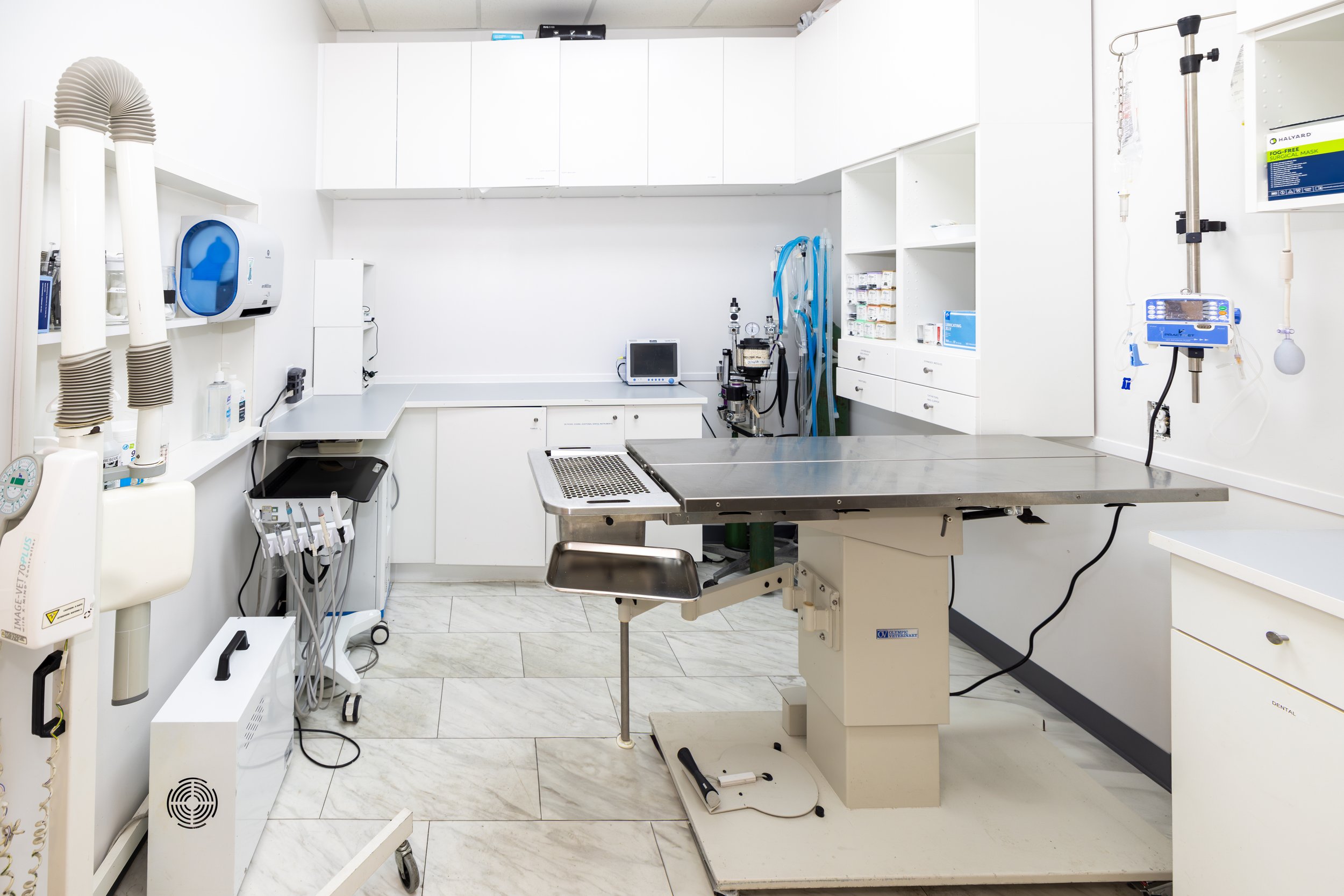 Bushwick Veterinary Center-2.jpg