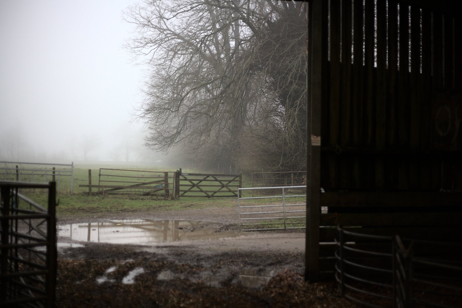 Landscape photograph by Hatty Frances Bell looking out of the wool barn at Fernhill Farm in Somerset
