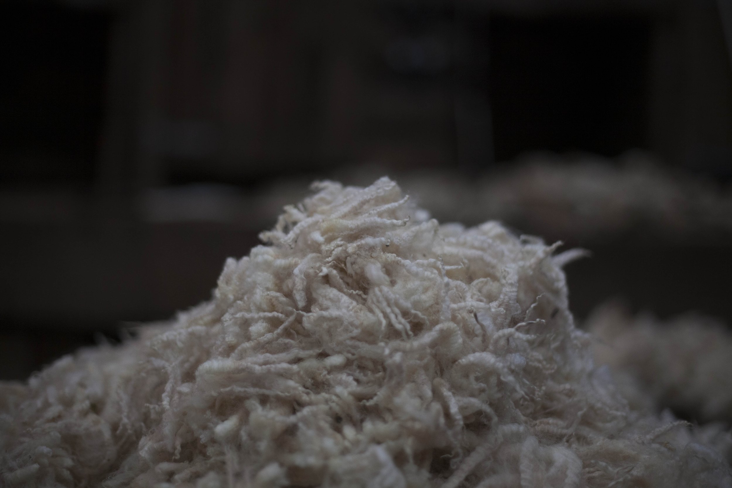Still life photograph of a pile of crimped fleece at Fernhill Farm