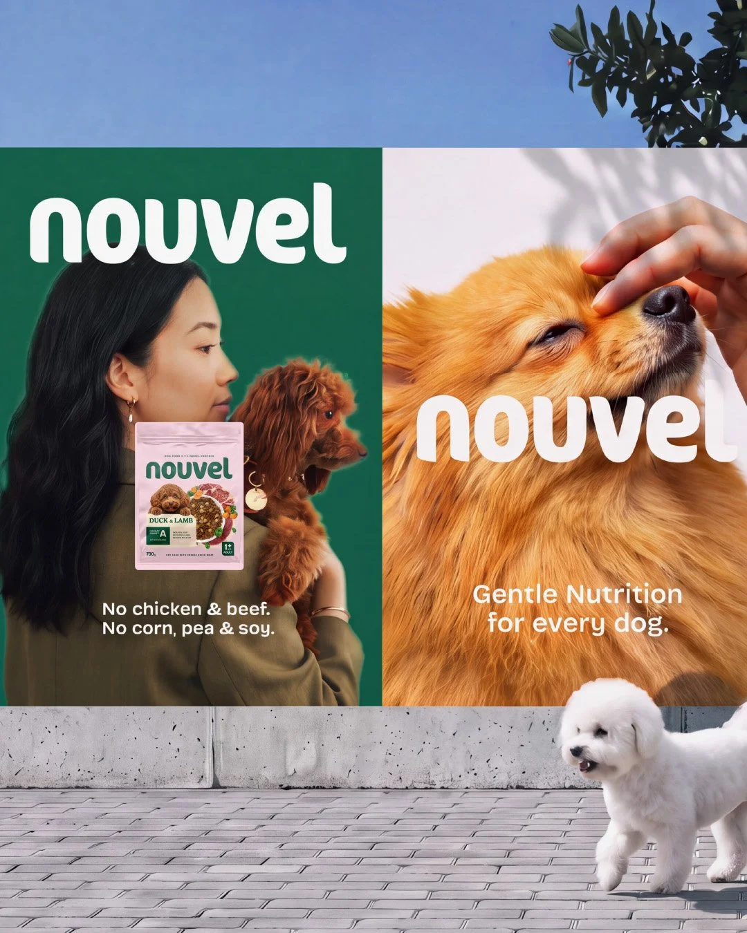 Nouvel_2.jpg
