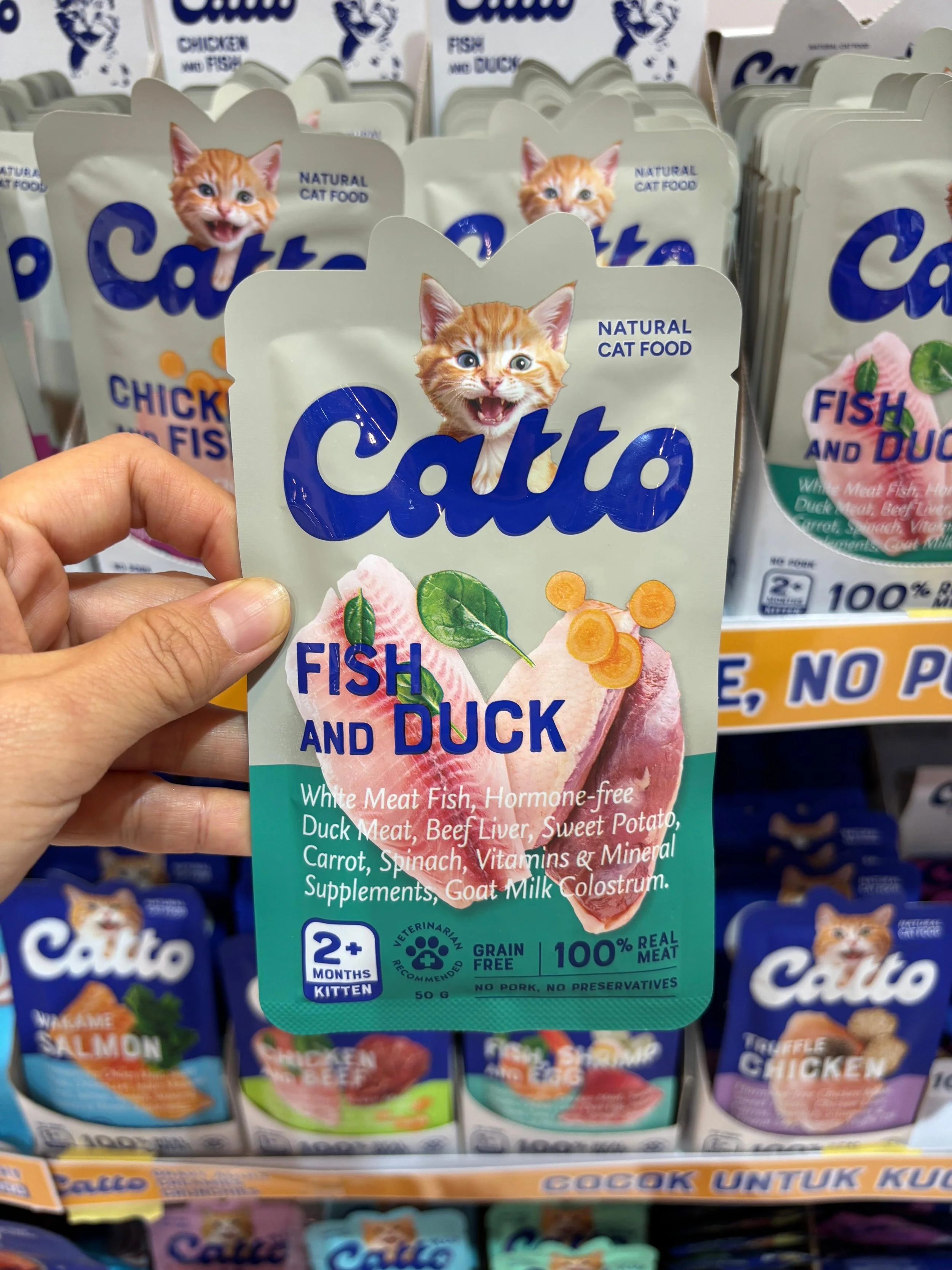Catto Fish and Duck.JPG