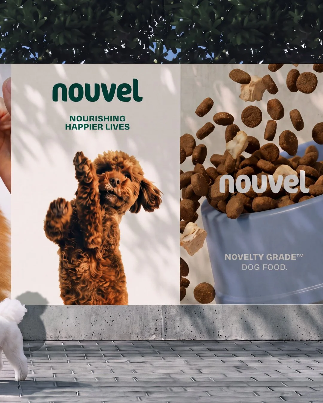 Nouvel_3.jpg