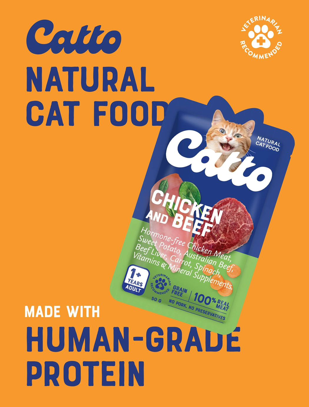 Catto_poster.webp