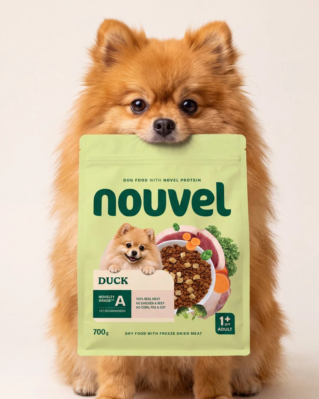 Nouvel_6.jpg