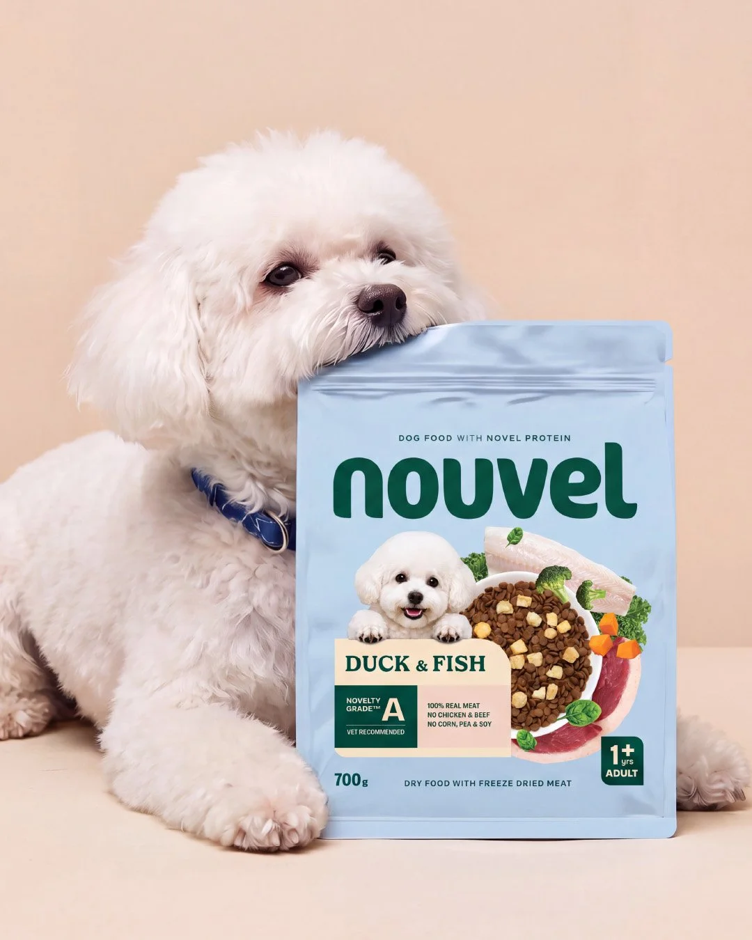 Nouvel_1.jpg