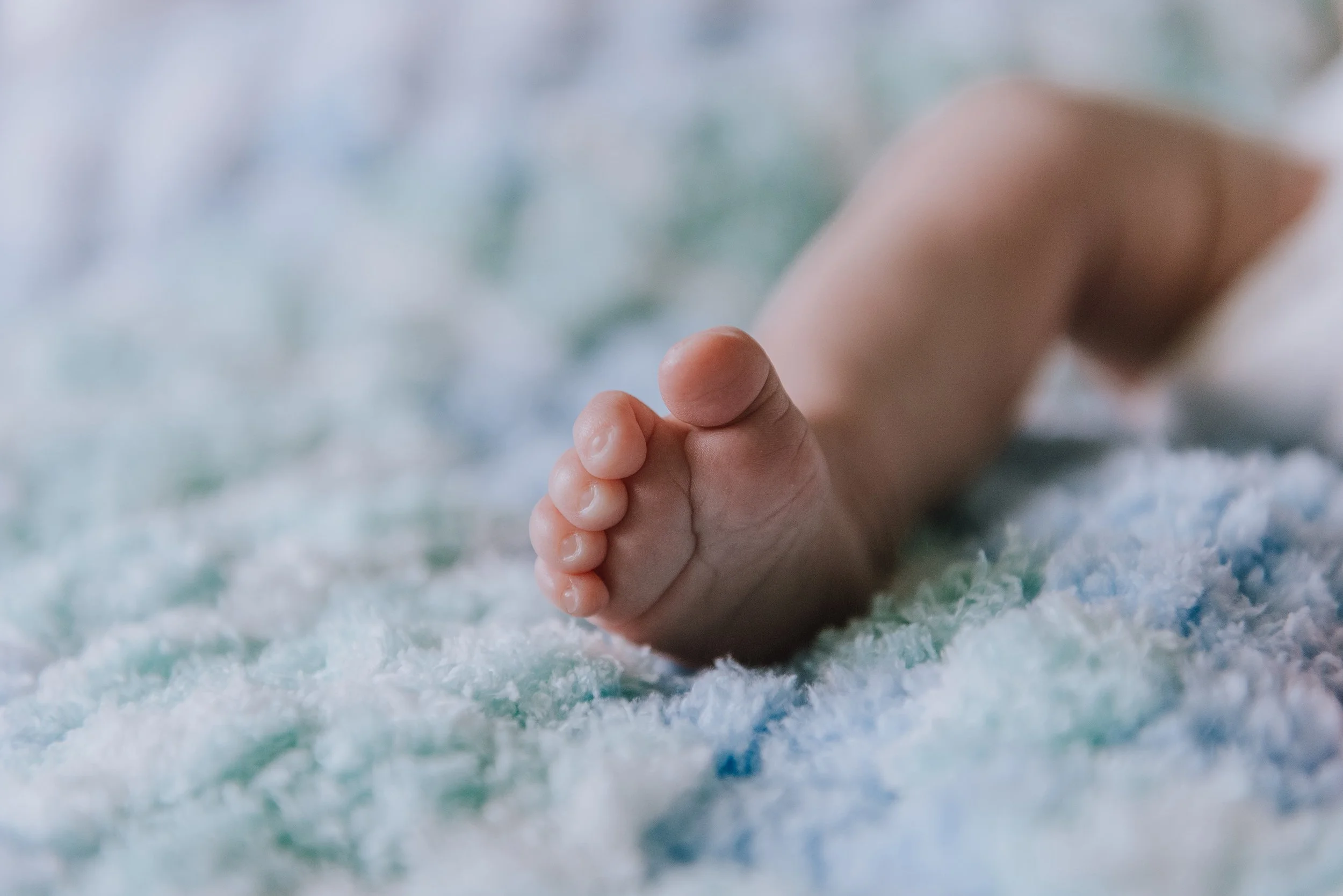 Detail photo of new born baby toes.