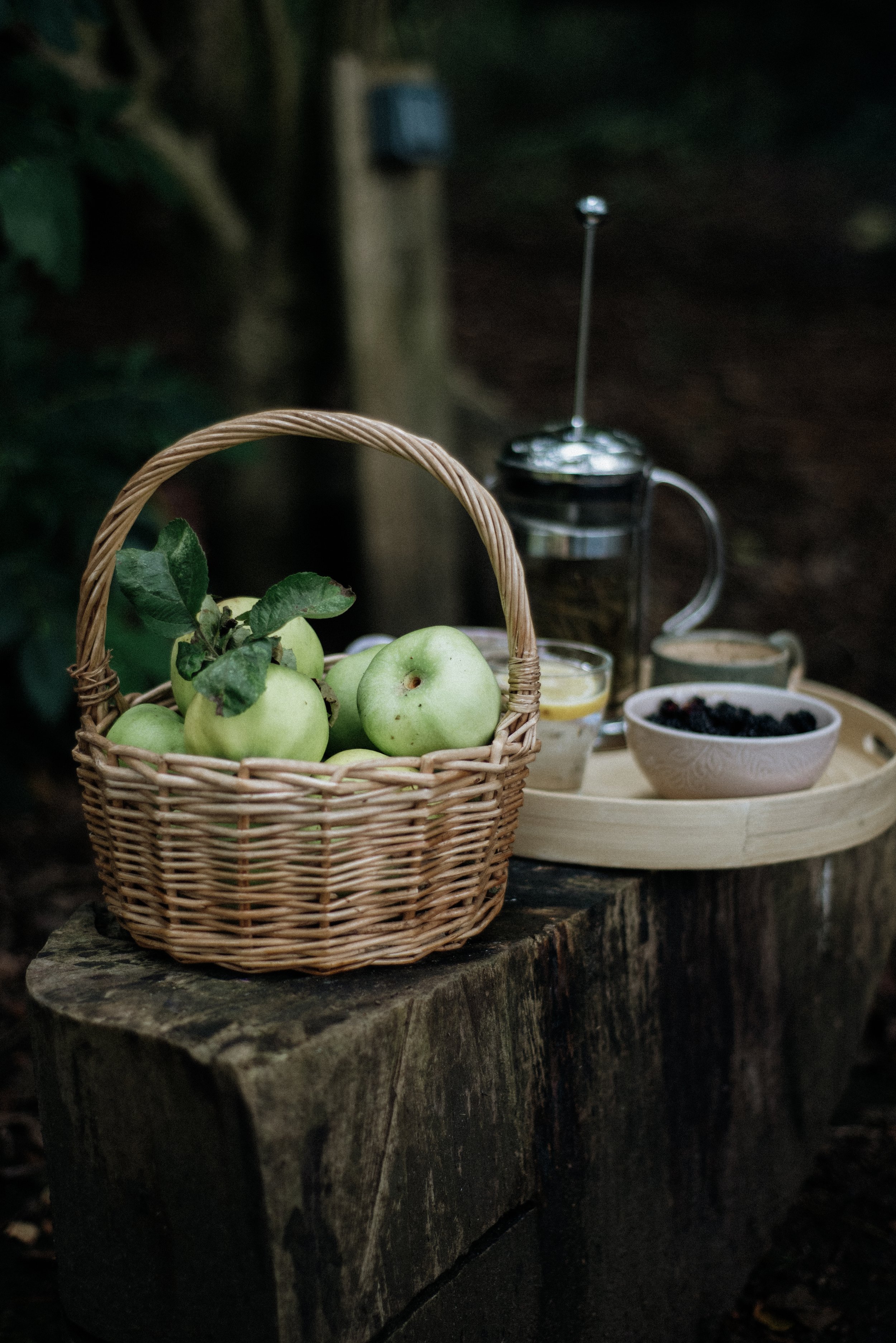 A basket of fresh green apples and a tray with pine tea brewing on a cut tree trunk.