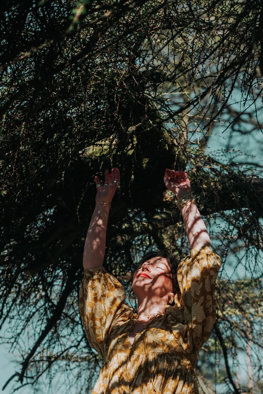 Molly Gould, Effable. She is reaching up into the air, there is a tree above her creating beautiful dappled light.