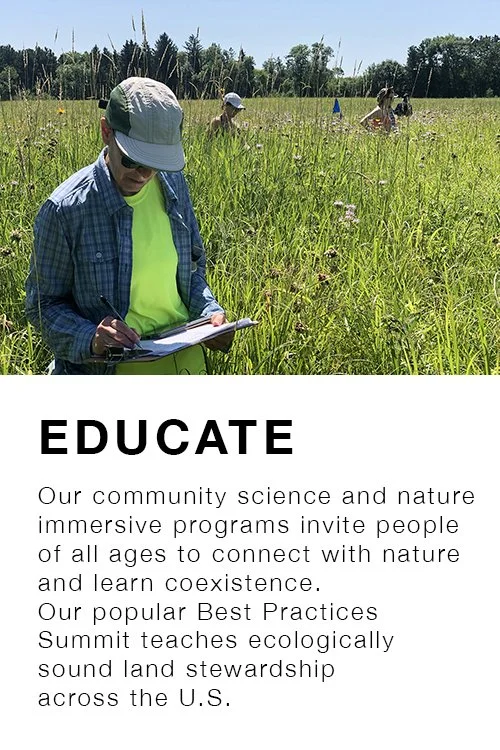 pfa-educate.jpg