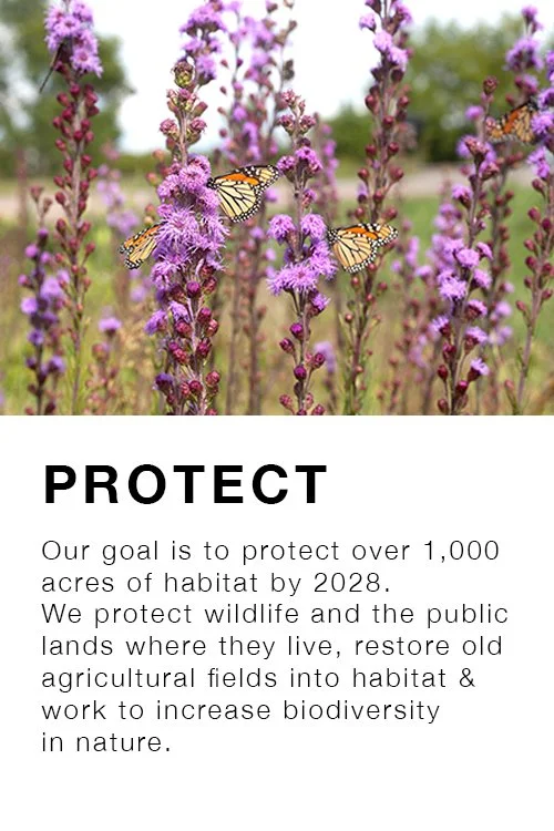 pfa-protect.jpg
