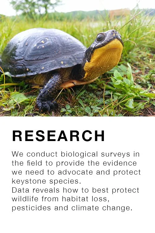 pfa-research.jpg