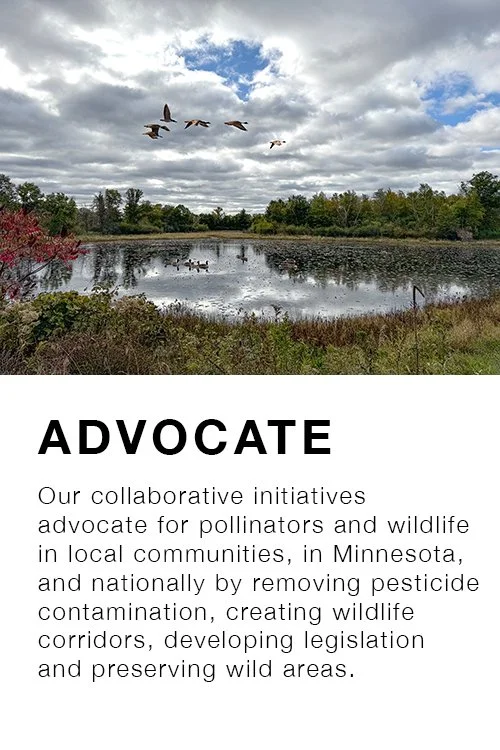 pfa-advocate.jpg