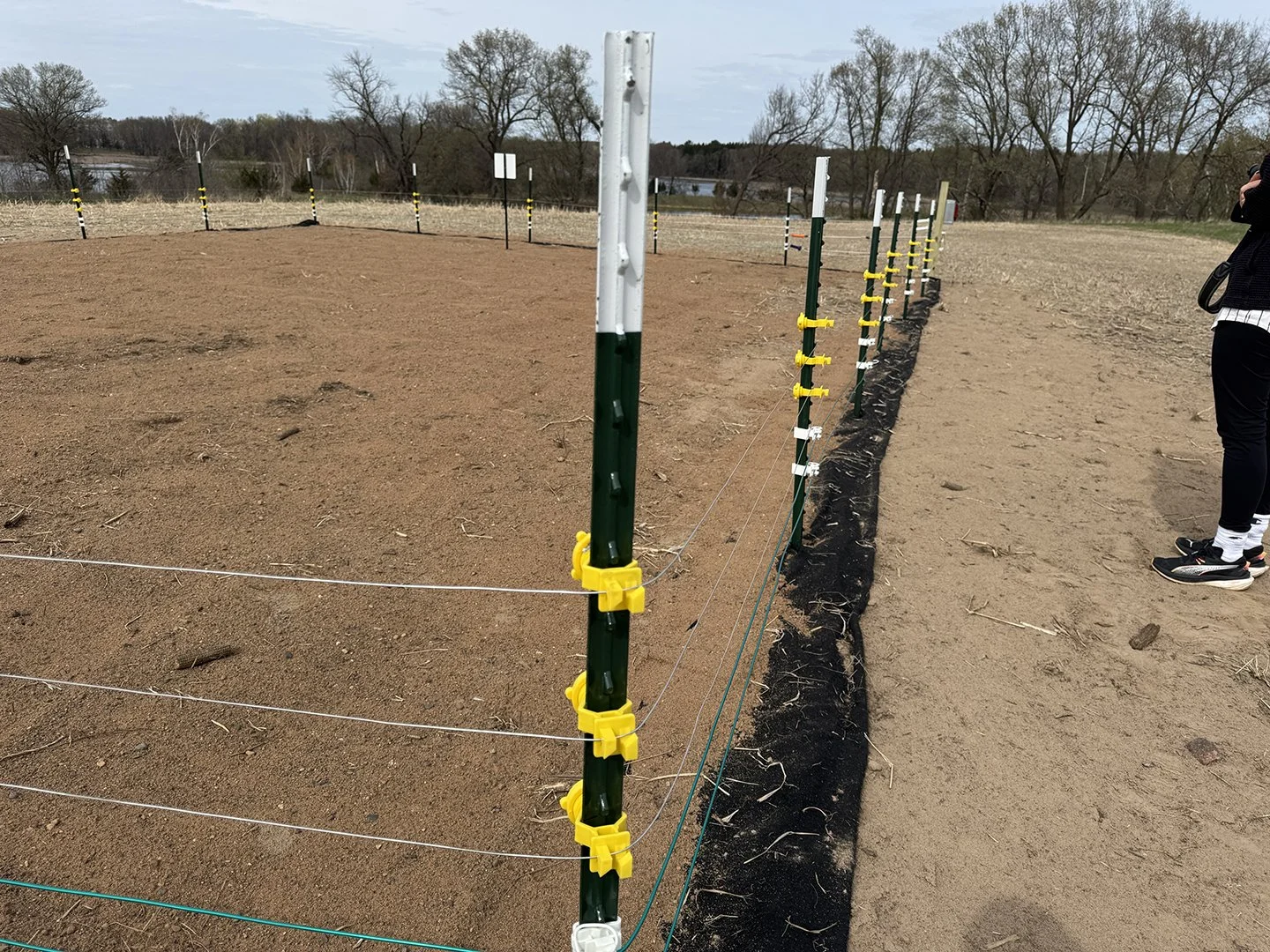 April 2026 installed a giant sandbox for turtle nesting inside a protected area for turtles