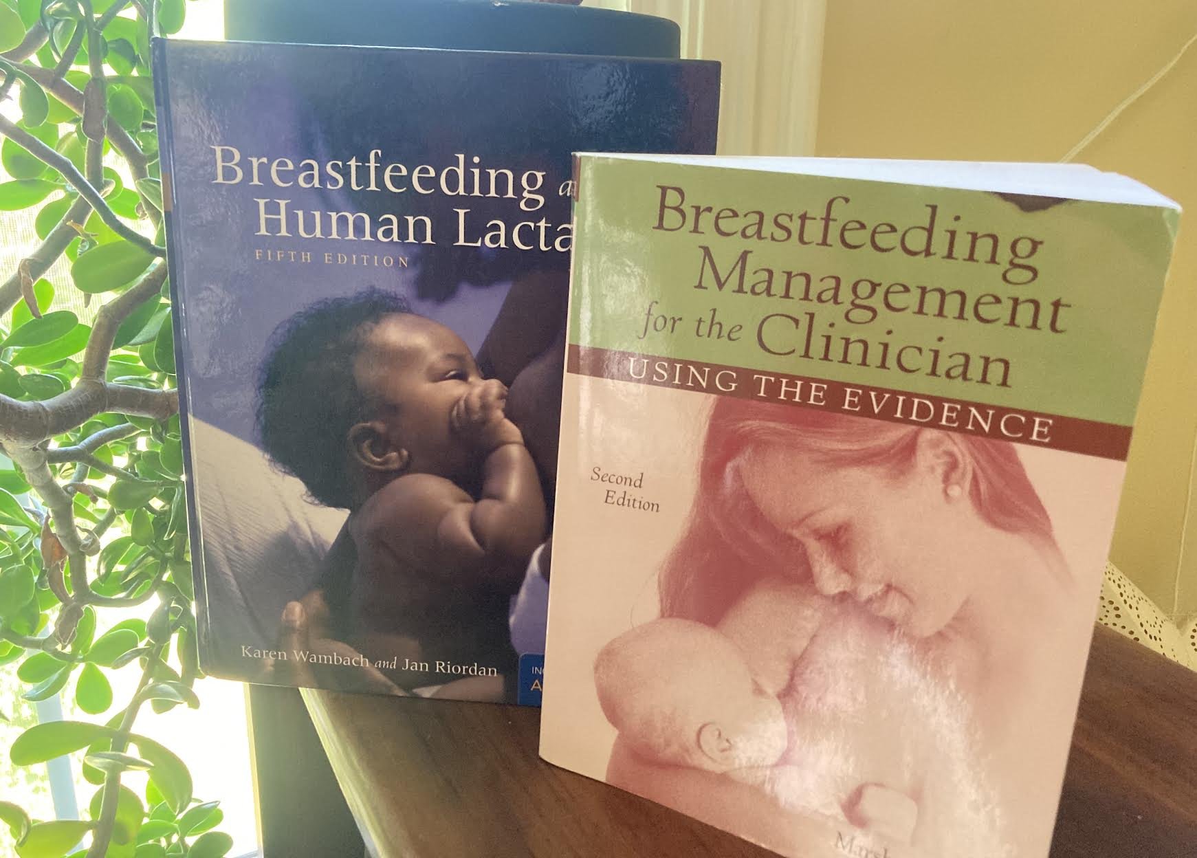 Speak Up for Lactation Support