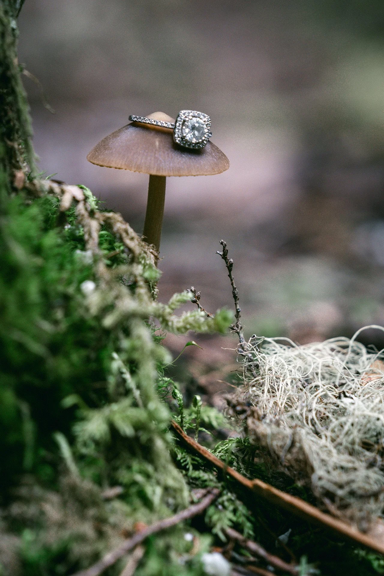 elopement-mount-raininer-ring-4.jpg