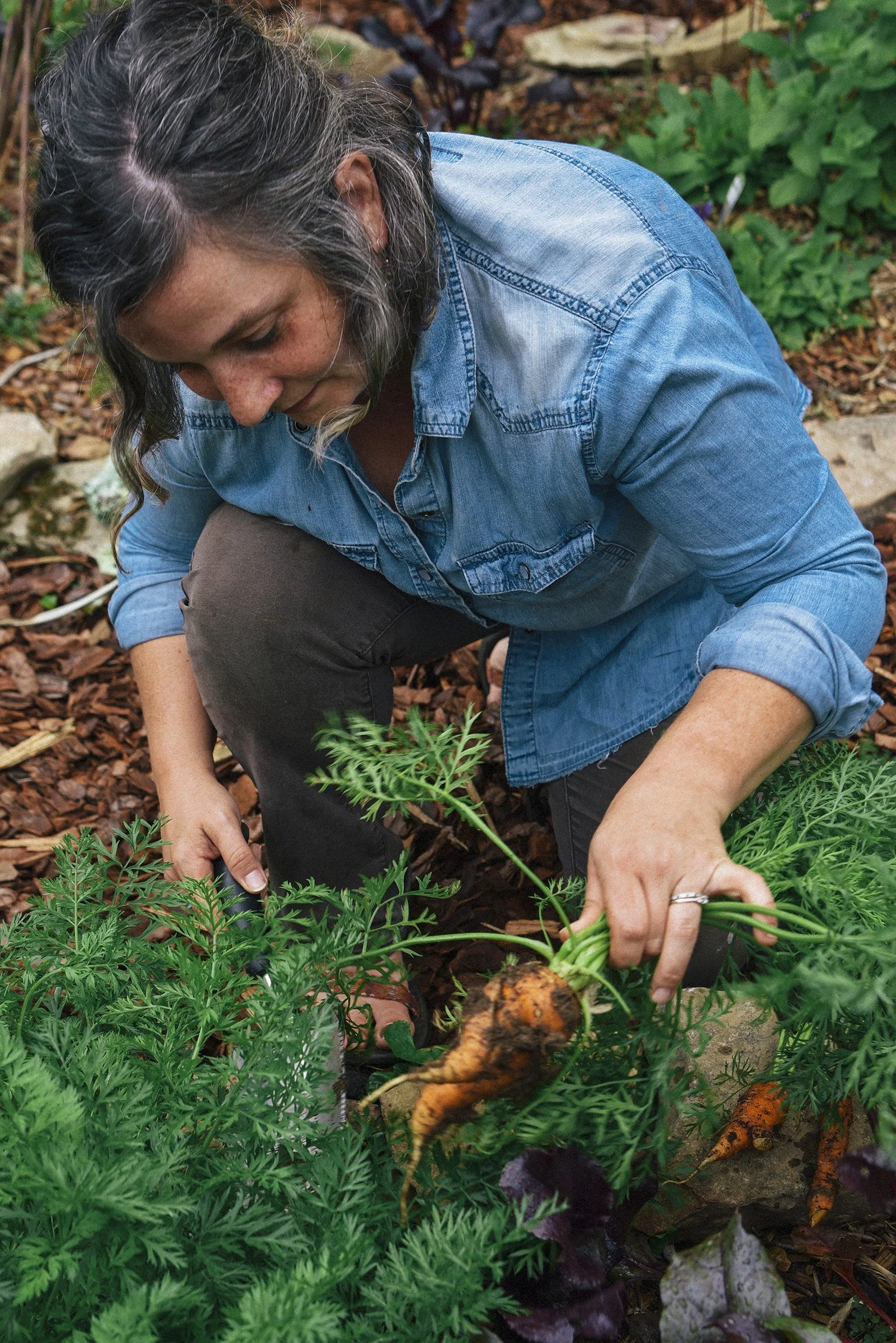 brand-kel-garden-harvest-7.jpg