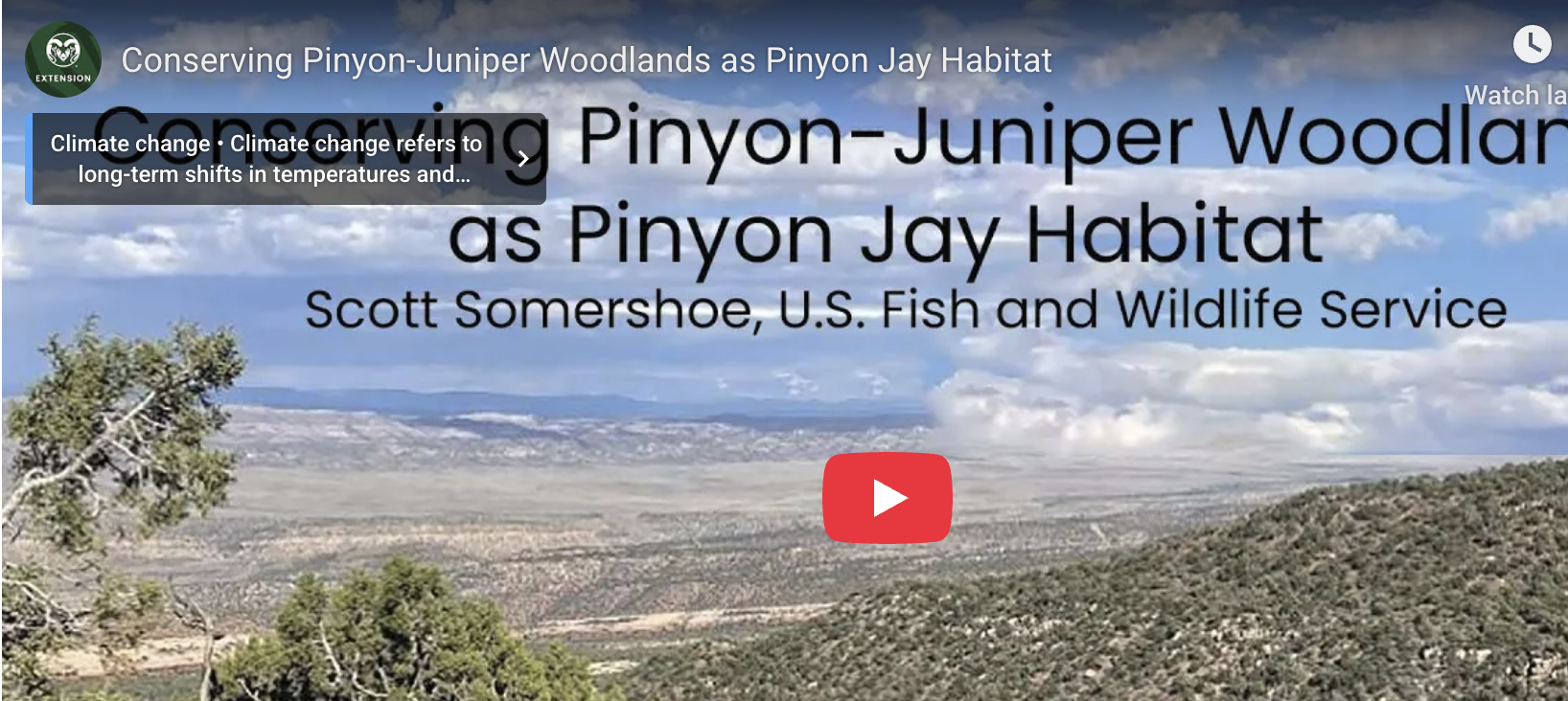 Video Presentation from Scott Somershoe, lead on U.S. Fish and Wildlife ESA listing for Pinyon Jay