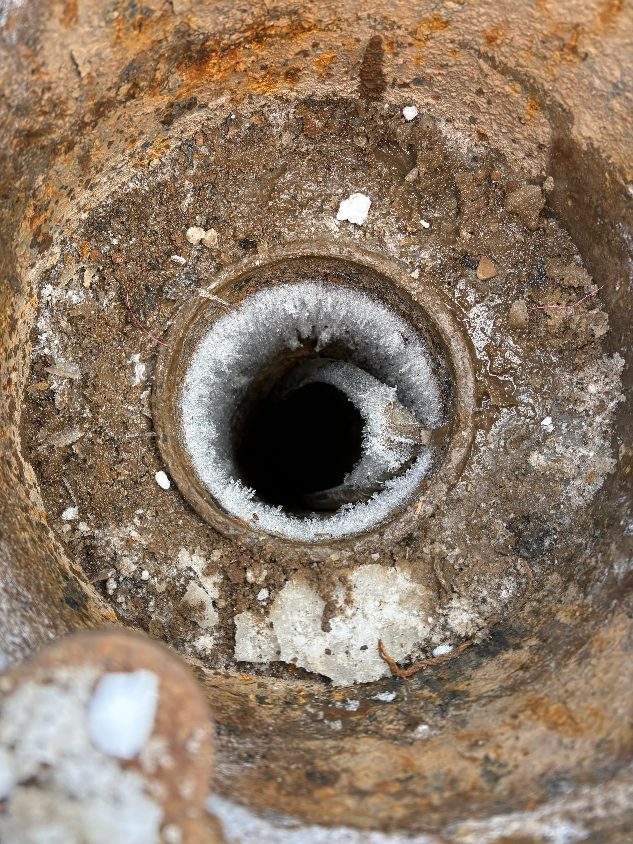 In The Field - Log 001