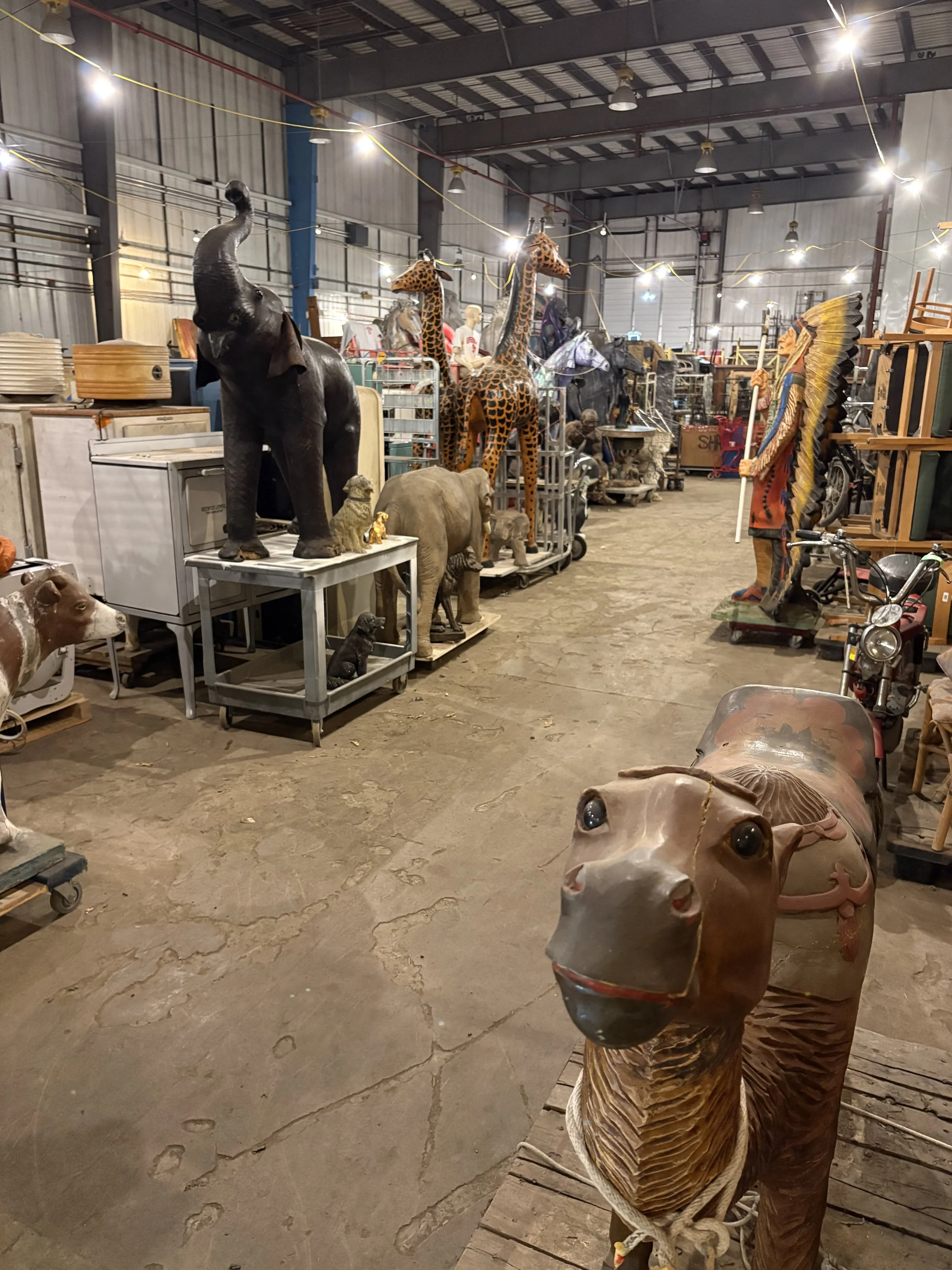 In The Field: Log 003