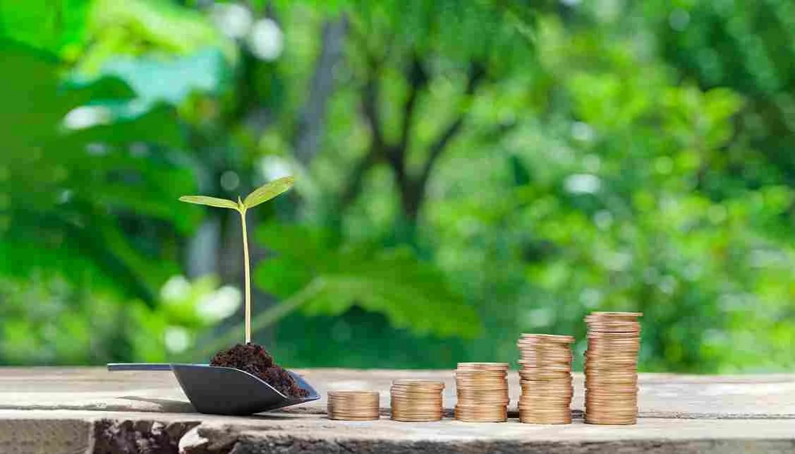Can I Invest Student Loan Money? What Canadian Students Should Know Before Trying