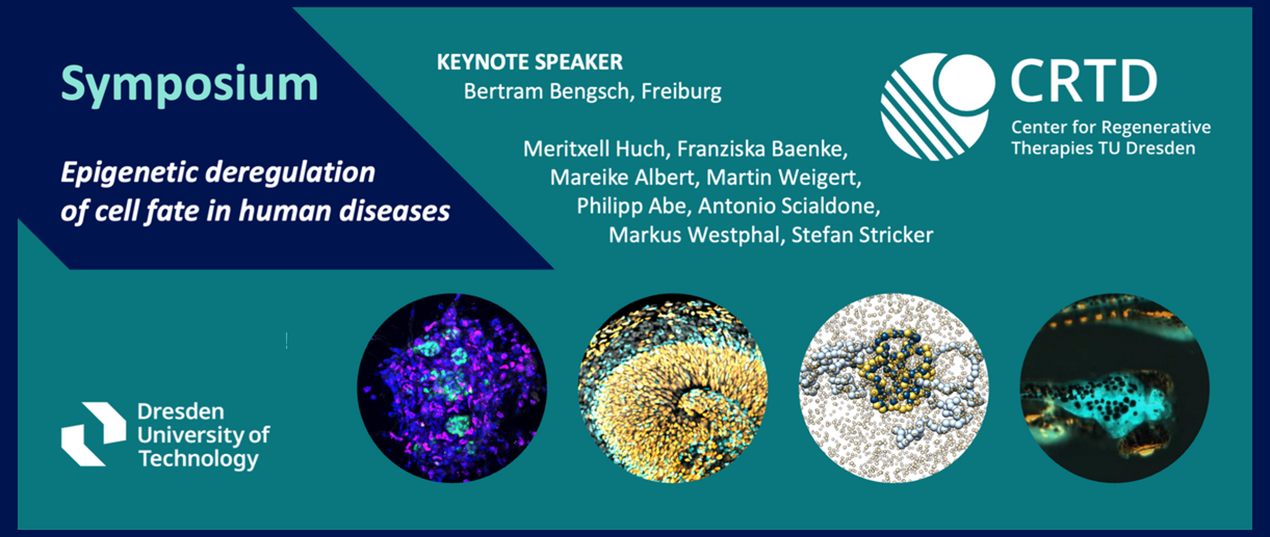 Markus's Invited Talk at the EpiFATE Symposium 2026