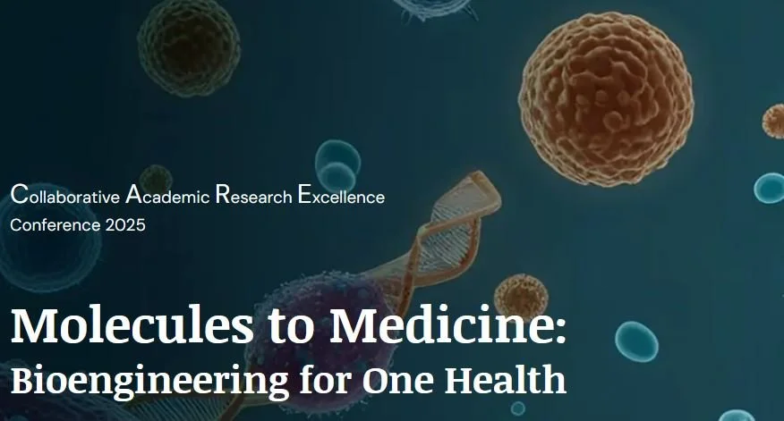 Fishing for Success! Spinal Cord Regeneration in the Zebrafish