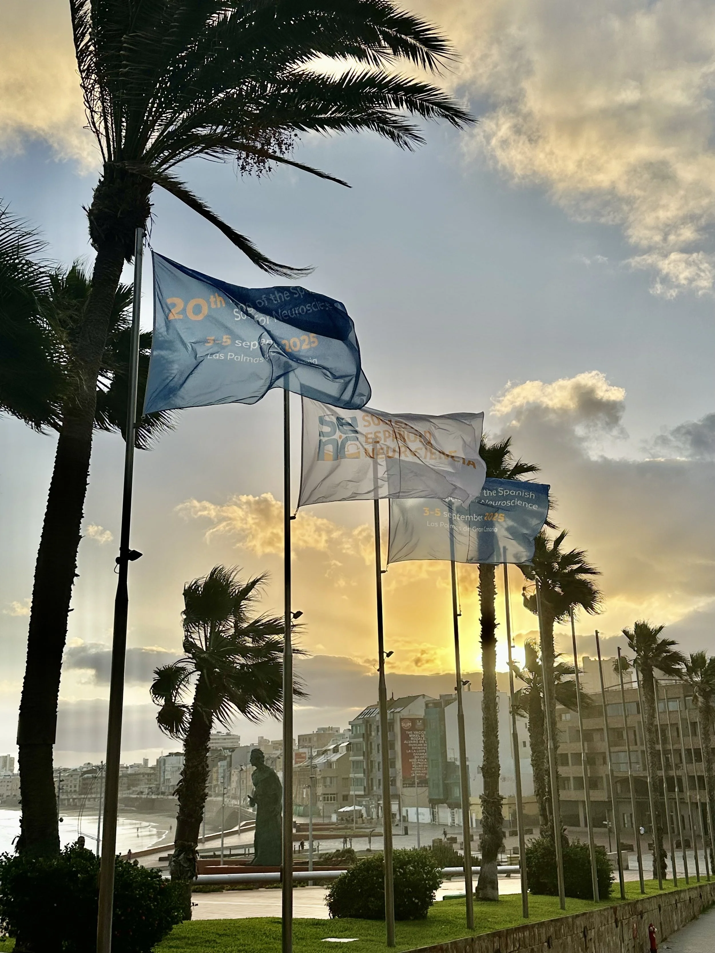 Alberto presented at the National Congress of the Spanish Society of Neuroscience!